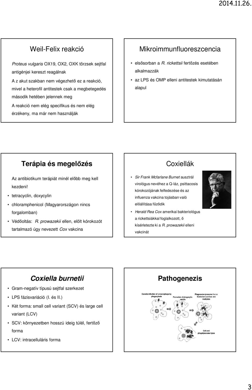 rickettsii fertőzés esetében alkalmazzák az LPS és OMP elleni antitestek kimutatásán alapul A reakció nem elég specifikus és nem elég érzékeny, ma már nem használják Terápia és megelőzés Az