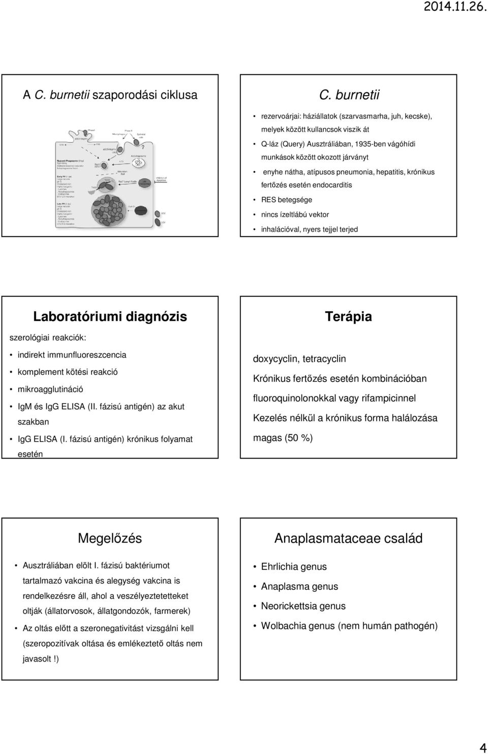 atípusos pneumonia, hepatitis, krónikus fertőzés esetén endocarditis RES betegsége nincs ízeltlábú vektor inhalációval, nyers tejjel terjed Laboratóriumi diagnózis Terápia szerológiai reakciók: