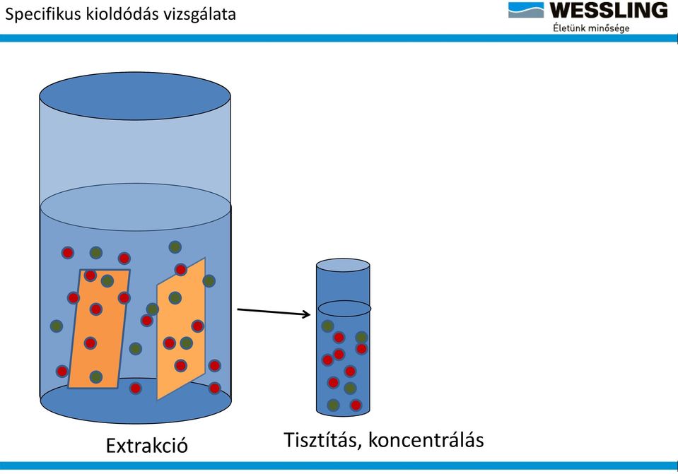 vizsgálata