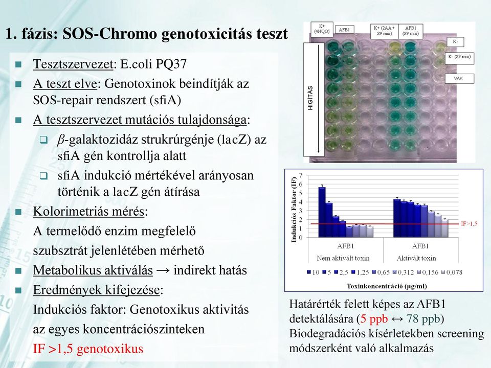 kontrollja alatt sfia indukció mértékével arányosan történik a lacz gén átírása Kolorimetriás mérés: A termelődő enzim megfelelő szubsztrát jelenlétében mérhető