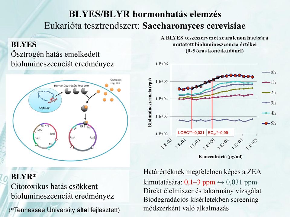 biolumineszcenciát eredményez (*Tennessee University által fejlesztett) Határértéknek megfelelően képes a ZEA