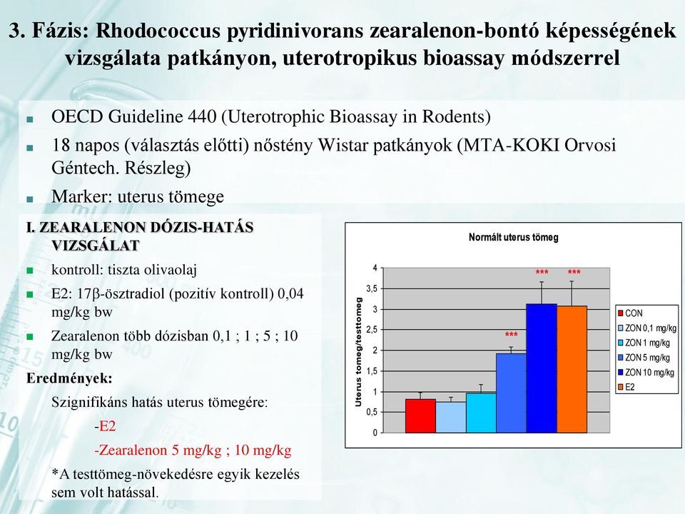 (választás előtti) nőstény Wistar patkányok (MTA-KOKI Orvosi Géntech. Részleg) Marker: uterus tömege I.