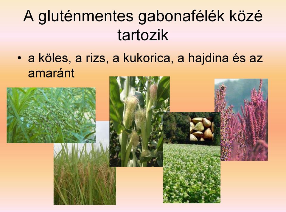 tartozik a köles, a
