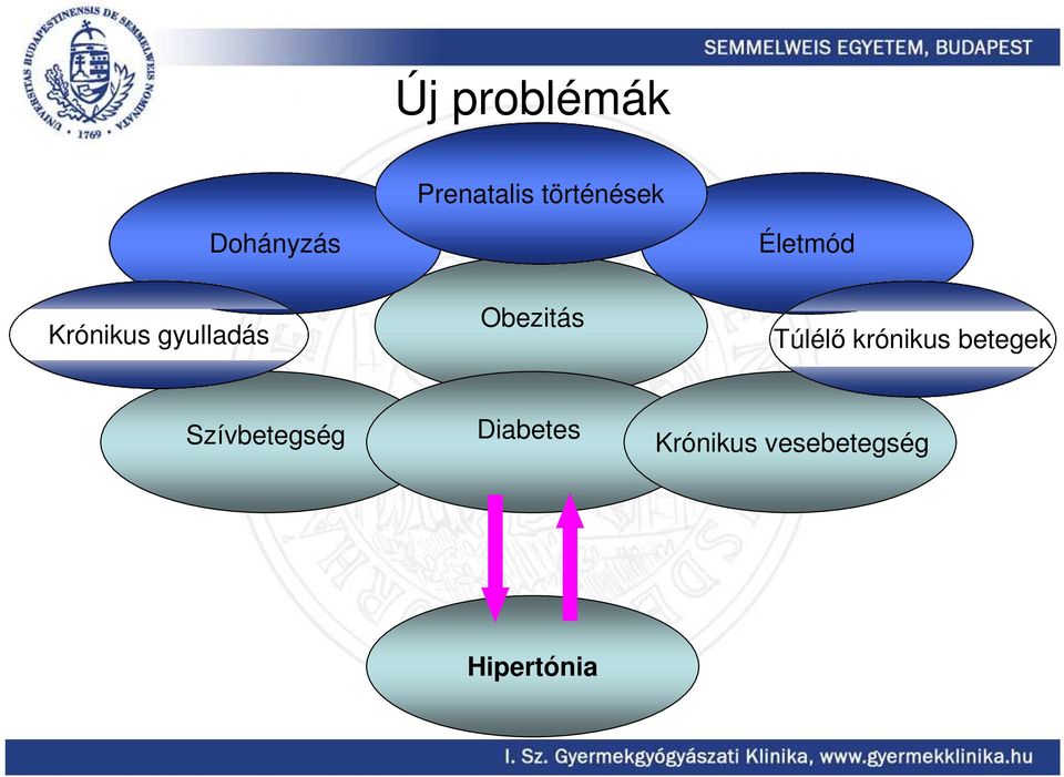 Obezitás Túlélı krónikus betegek