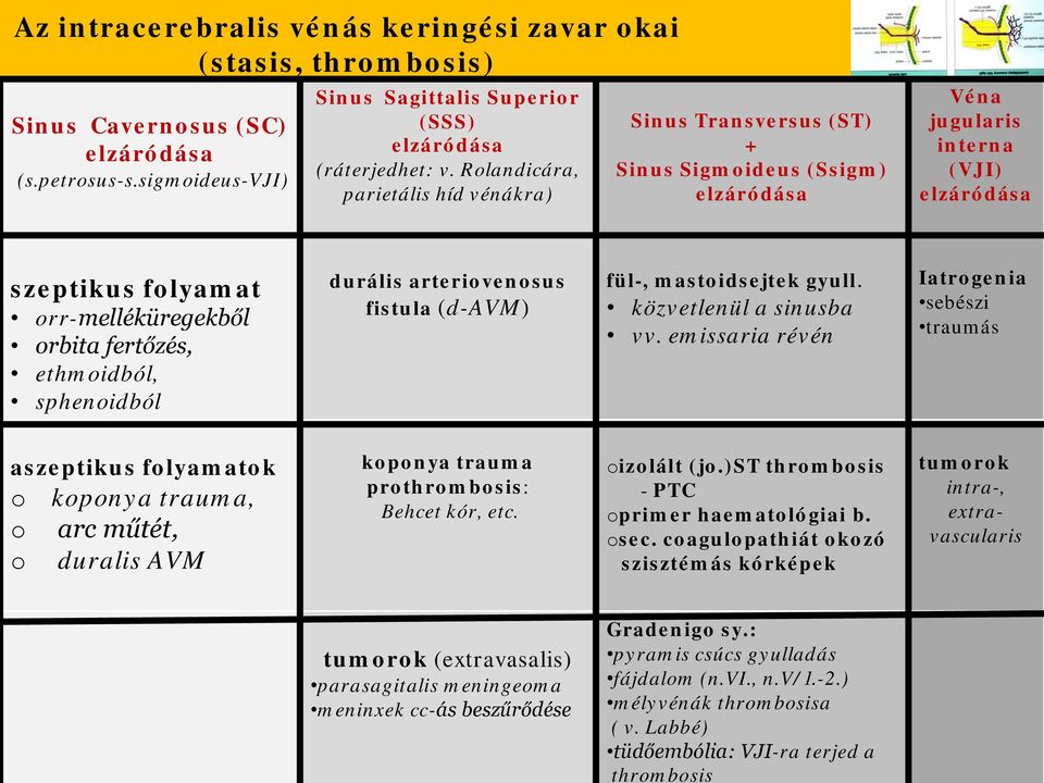 Rlandicára, parietális híd vénákra) Az intracebrális vénás keringés zavar kai (stasis, thrmbsis) DI Friedman: Papilledema.272p.Walsh-Hyt s: Clinical Neur-Ophthalmlgy. 6th Ed.2006.