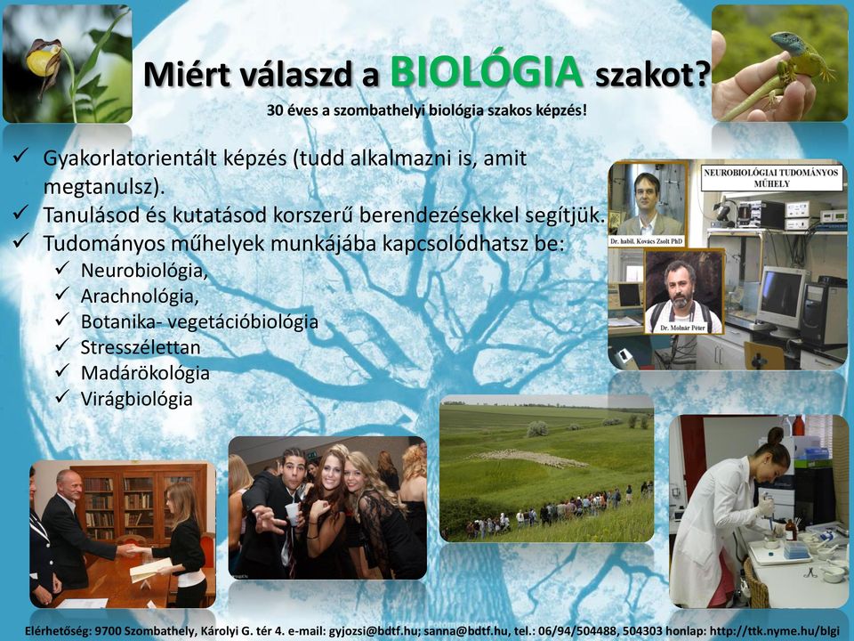 Tudományos műhelyek munkájába kapcsolódhatsz be: Neurobiológia, Arachnológia, Botanika- vegetációbiológia Stresszélettan