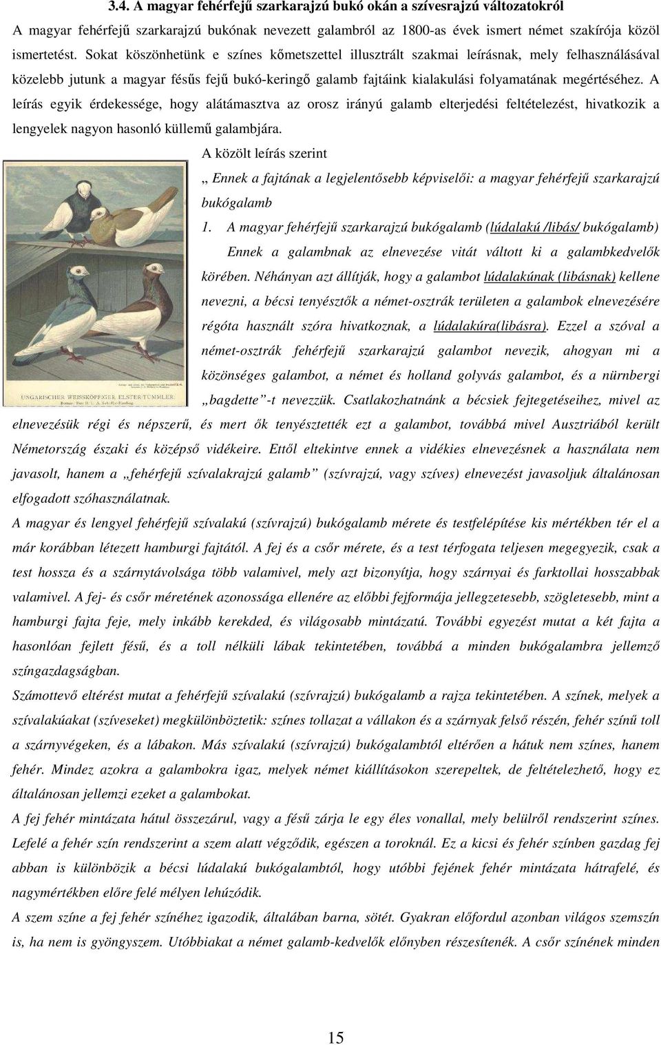 A leírás egyik érdekessége, hogy alátámasztva az orosz irányú galamb elterjedési feltételezést, hivatkozik a lengyelek nagyon hasonló küllemű galambjára.