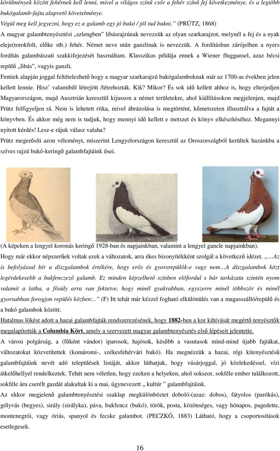 (PRÜTZ, 1868) A magyar galambtenyésztési szlengben libásrajzúnak nevezzük az olyan szarkarajzot, melynél a fej és a nyak eleje(torokfolt, előke stb.) fehér. Német neve után ganzlinak is nevezzük.