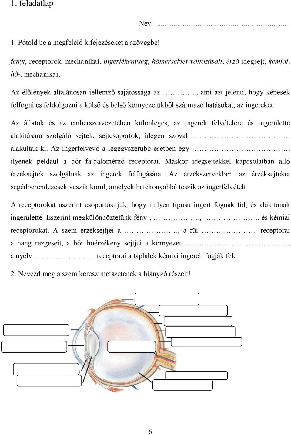 ., ami azt jelenti, hogy képesek felfogni és feldolgozni a külső és belső környezetükből származó hatásokat, az ingereket.