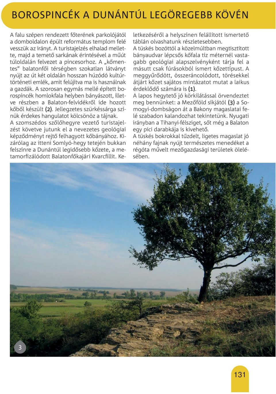 A kőmentes balatonfői térségben szokatlan látványt nyújt az út két oldalán hosszan húzódó kultúrtörténeti emlék, amit felújítva ma is használnak a gazdák.