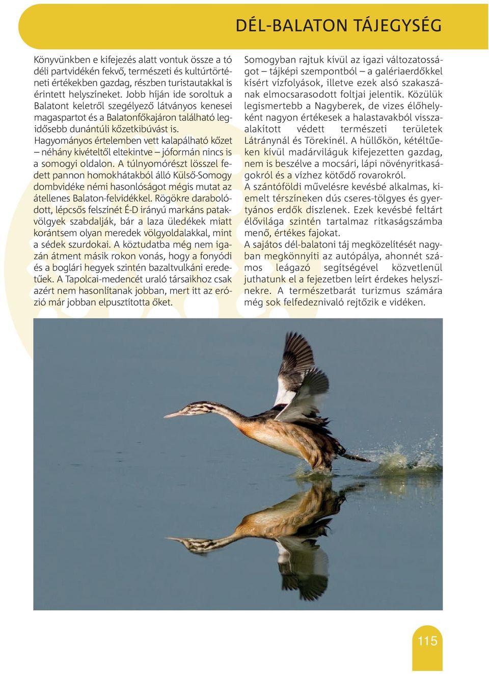 Hagyományos értelemben vett kalapálható kőzet néhány kivételtől eltekintve jóformán nincs is a somogyi oldalon.