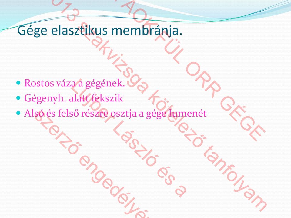 Gégenyh.