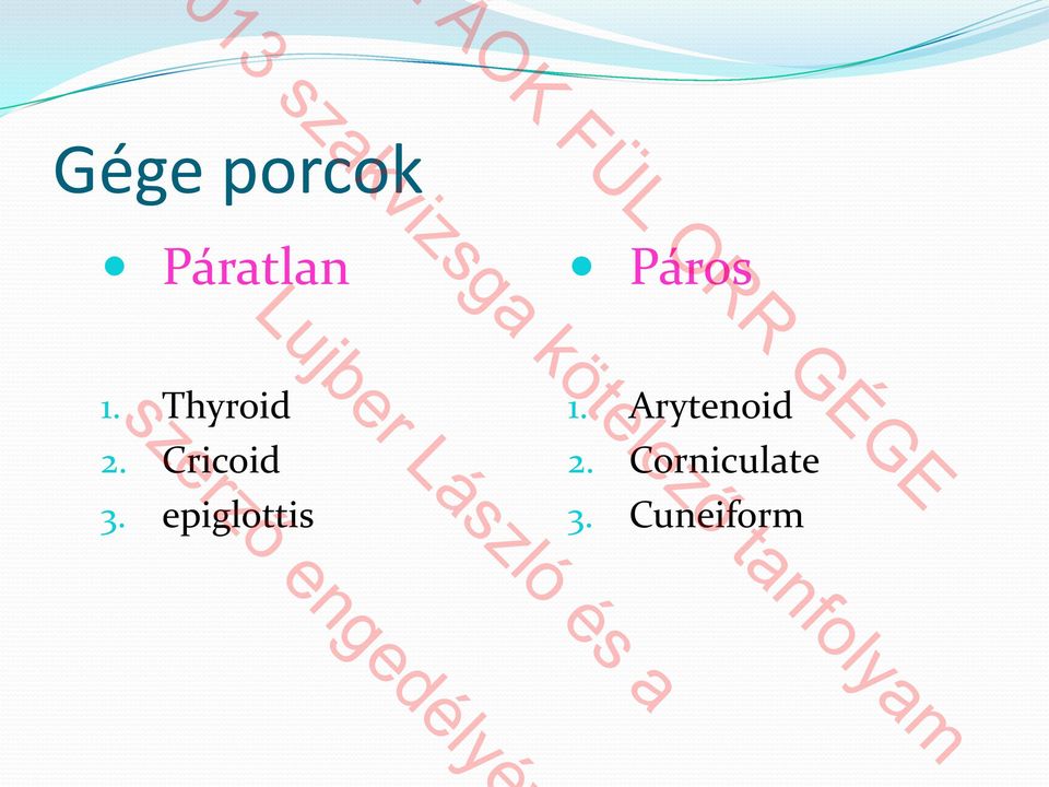 Cricoid 3. epiglottis 1.