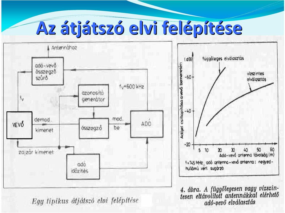 elvi