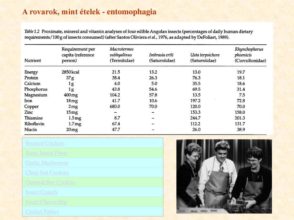 Mealworms Chirp Nut Cookies Oatmeal Bee