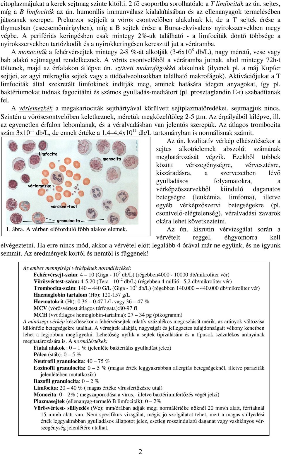 A VÉR VIZSGÁLATA alakos elemeit - PDF Ingyenes letöltés