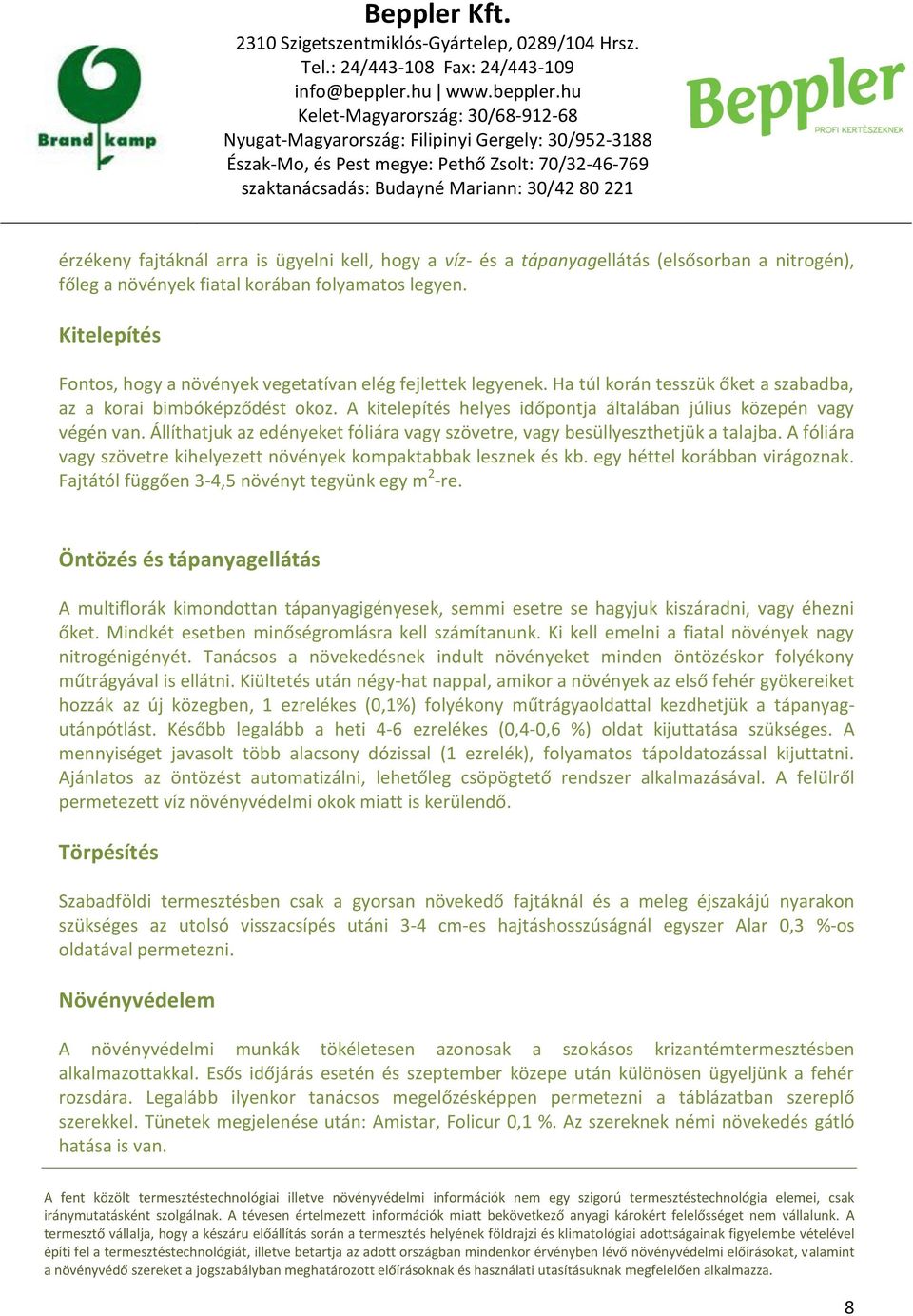 A kitelepítés helyes időpontja általában július közepén vagy végén van. Állíthatjuk az edényeket fóliára vagy szövetre, vagy besüllyeszthetjük a talajba.