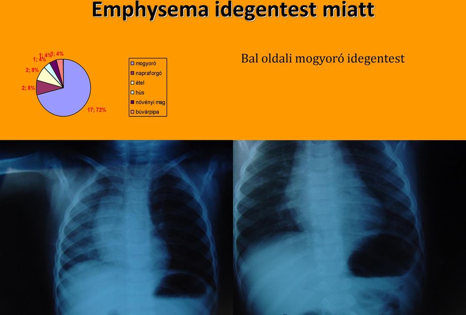 napraforgó étel hús növényi mag