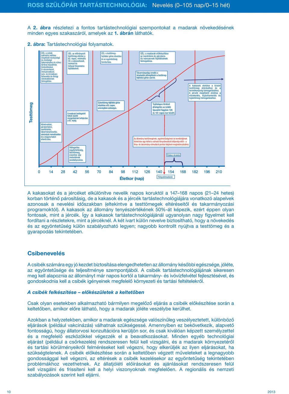 Assess flock weigfht, uniformity & condition one wee Testtömeg CÉL: a csibék optimális indítása megfelelő mennyiségű és minőségű takarmányhoz és vízhez történő hozzáférés biztosításával.