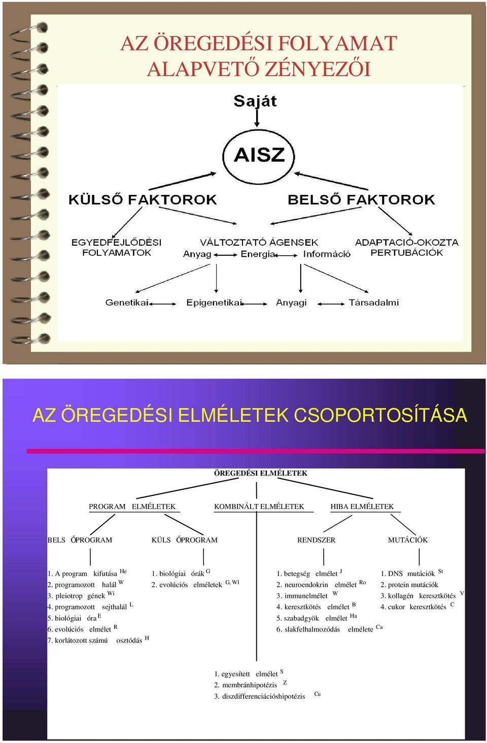 neuroendokrin elmélet Ro 2. protein mutációk 3. pleiotrop gének Wi 3. immunelmélet W 3. kollagén keresztkötés V 4. programozott sejthalál L 4. keresztkötés elmélet B 4.