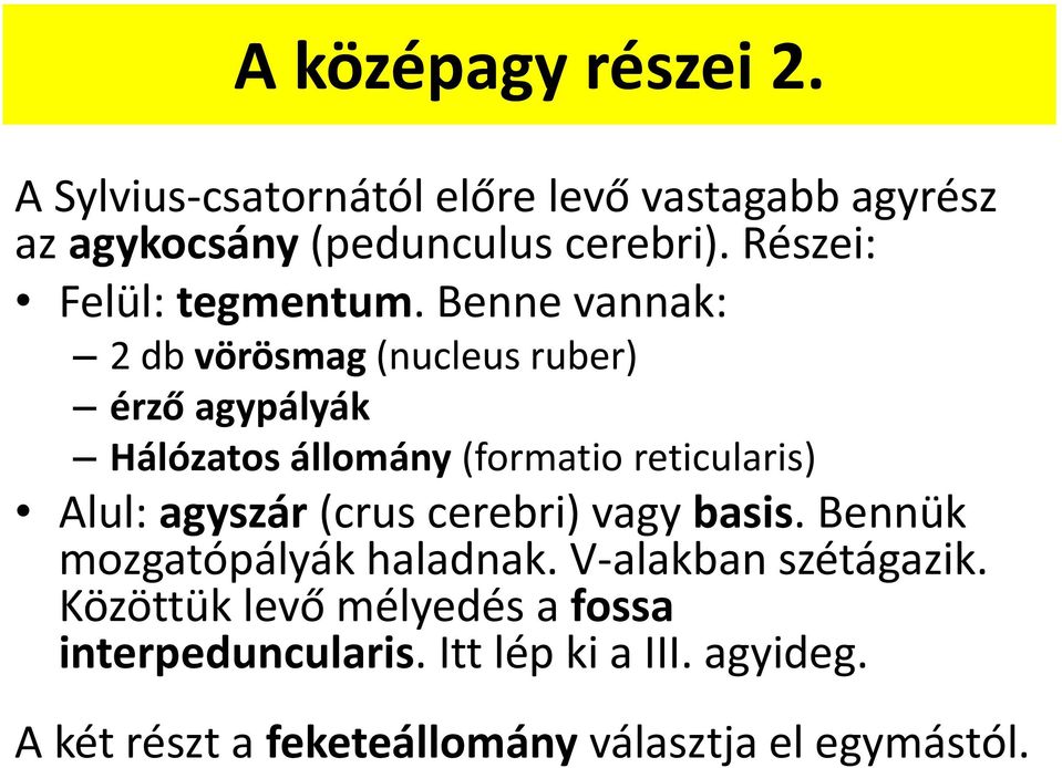 Benne vannak: 2 db vörösmag (nucleus ruber) érző agypályák Hálózatos állomány (formatio reticularis) Alul: agyszár