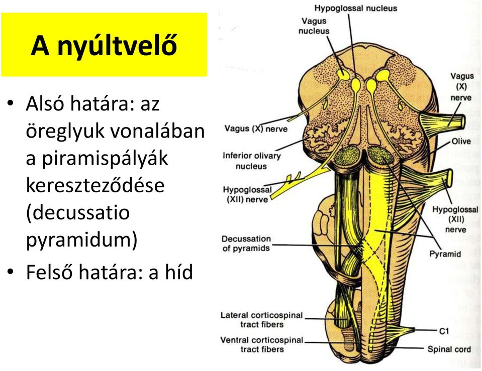 piramispályák kereszteződése