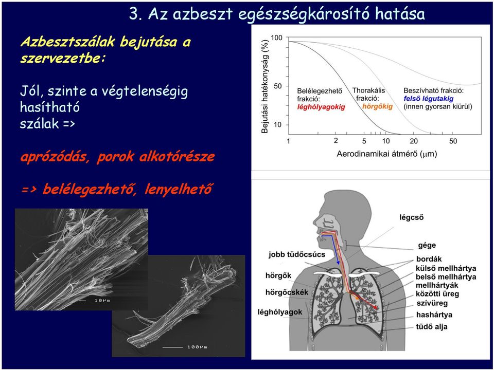 szinte a végtelenségig hasítható szálak =>