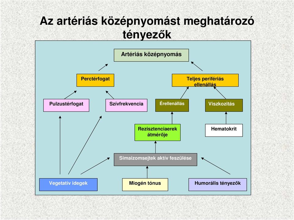 Szívfrekvencia Érellenállás Viszkozitás Rezisztenciaerek átmérıje