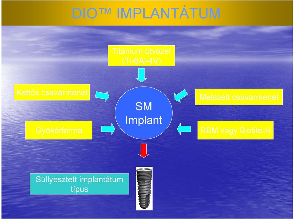 Gyökérforma SM Implant Metszett