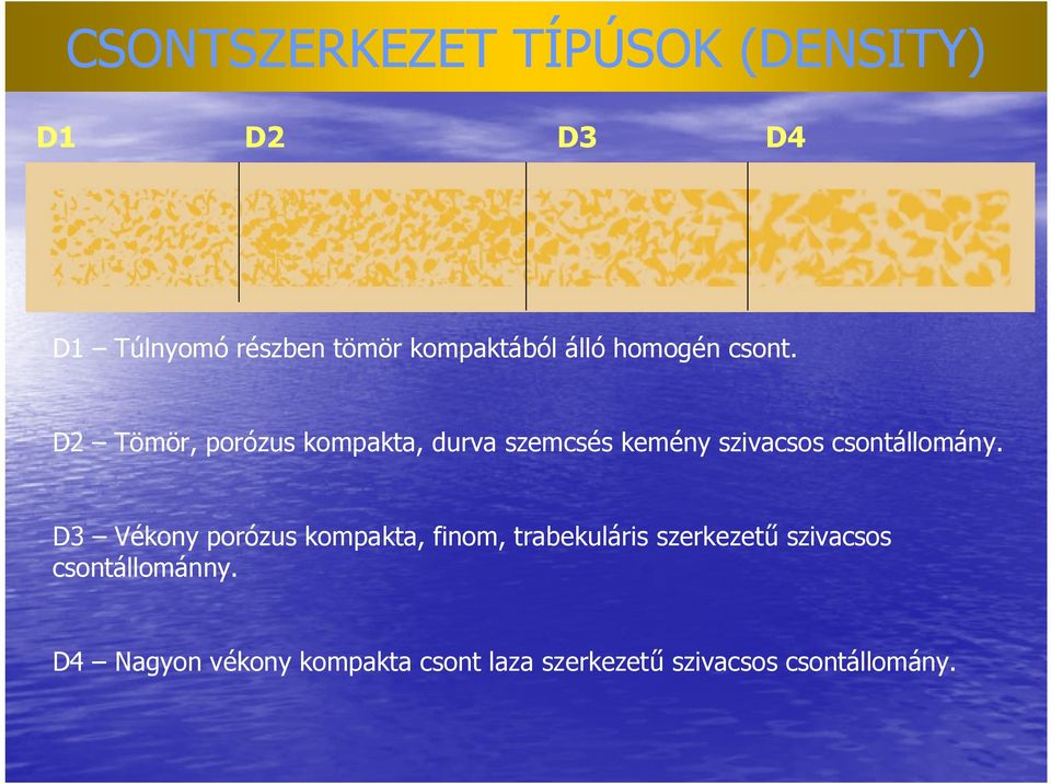 D2 Tömör, porózus kompakta, durva szemcsés kemény szivacsos csontállomány.