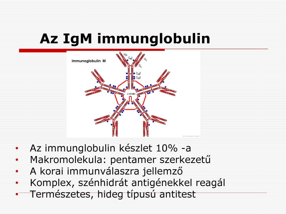 korai immunválaszra jellemző Komplex, szénhidrát