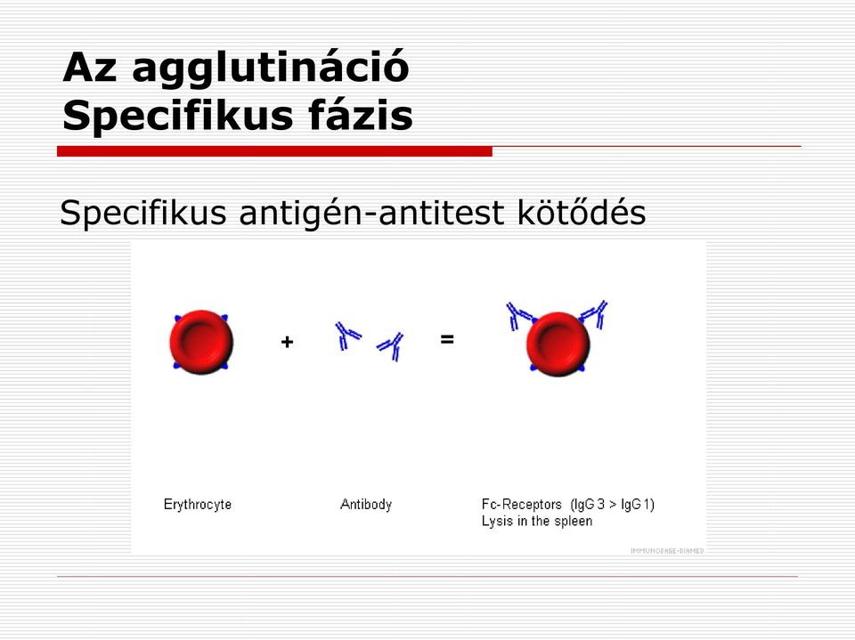 Specifikus