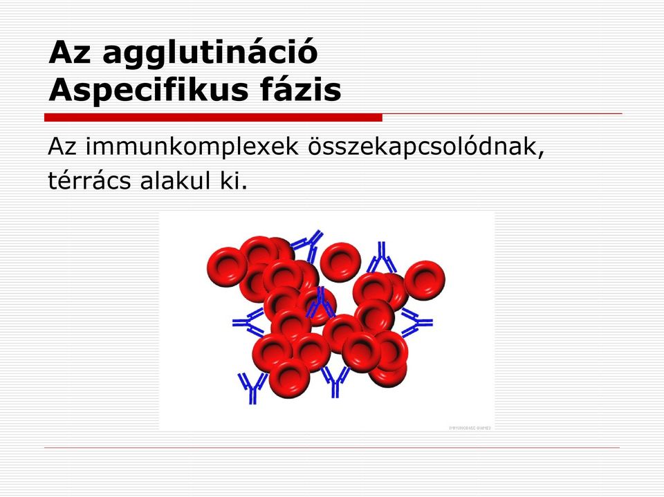 immunkomplexek