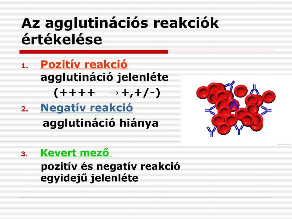 +,+/-) 2. Negatív reakció agglutináció hiánya 3.