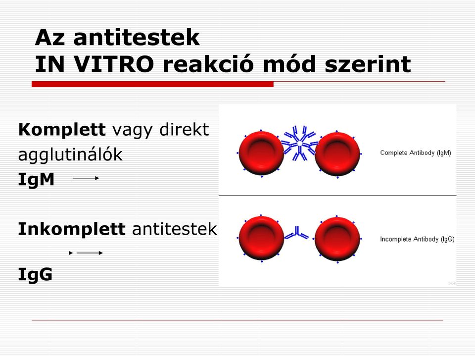 Komplett vagy direkt