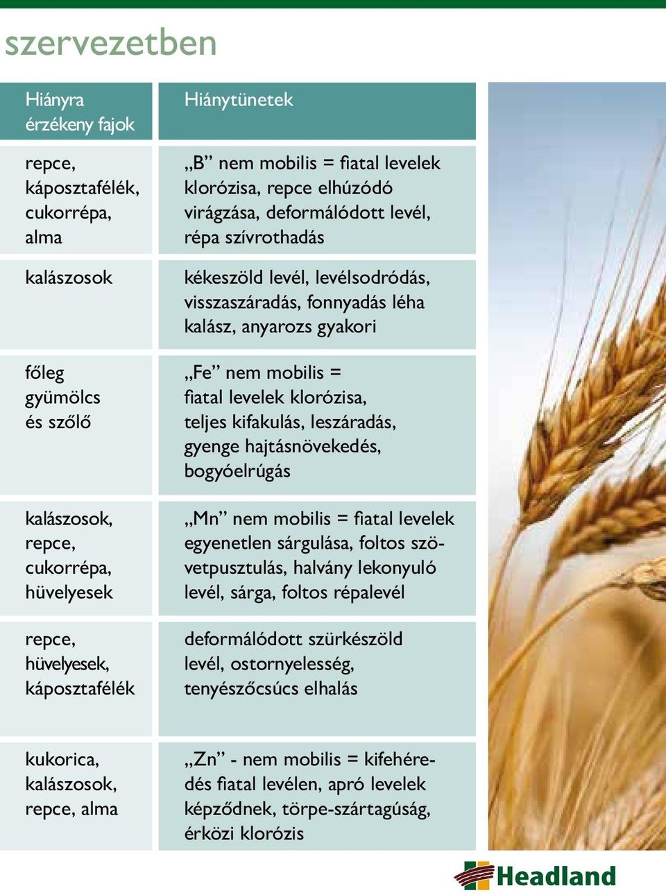 nem mobilis = fiatal levelek klorózisa, teljes kifakulás, leszáradás, gyenge hajtásnövekedés, bogyóelrúgás Mn nem mobilis = fiatal levelek egyenetlen sárgulása, foltos szövetpusztulás, halvány