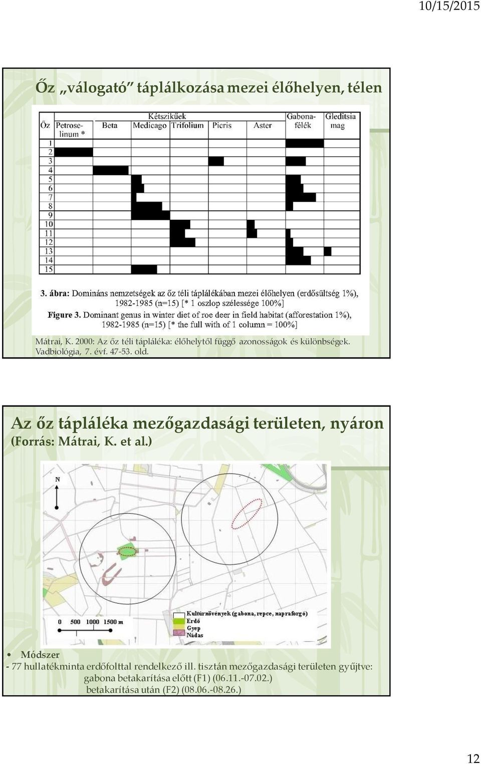 Az őz tápláléka mezőgazdasági területen, nyáron (Forrás: Mátrai, K. et al.