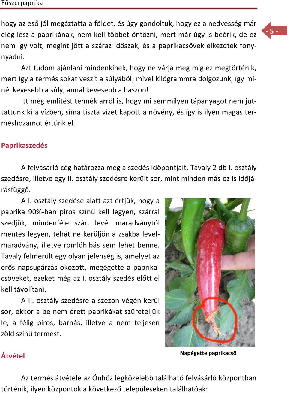 Azt tudom ajánlani mindenkinek, hogy ne várja meg míg ez megtörténik, mert így a termés sokat veszít a súlyából; mivel kilógrammra dolgozunk, így minél kevesebb a súly, annál kevesebb a haszon!