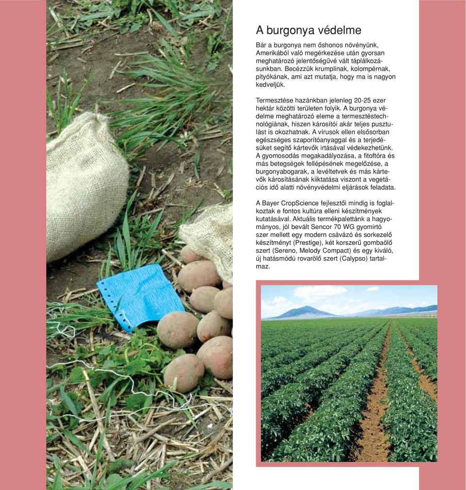 A burgonya védelme meghatározó eleme a termesztéstechnológiának, hiszen károsítói akár teljes pusztulást is okozhatnak.
