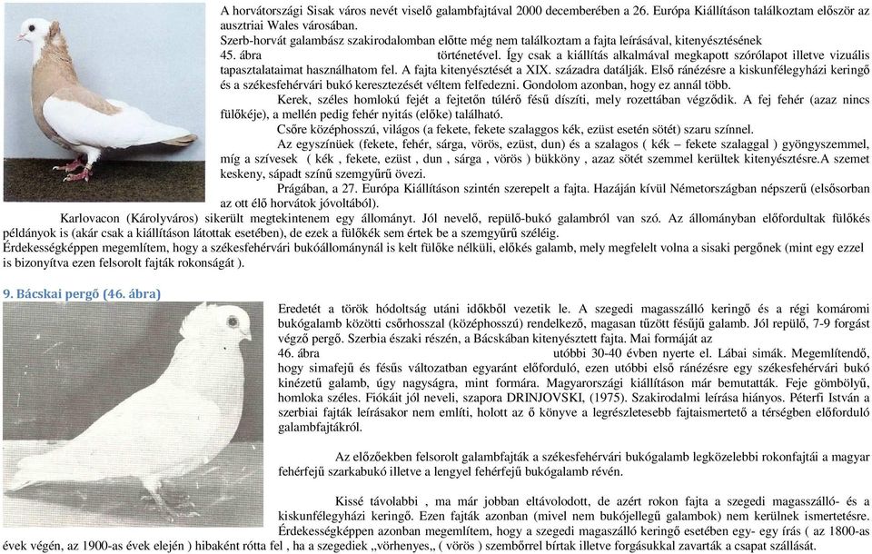 Így csak a kiállítás alkalmával megkapott szórólapot illetve vizuális tapasztalataimat használhatom fel. A fajta kitenyésztését a XIX. századra datálják.