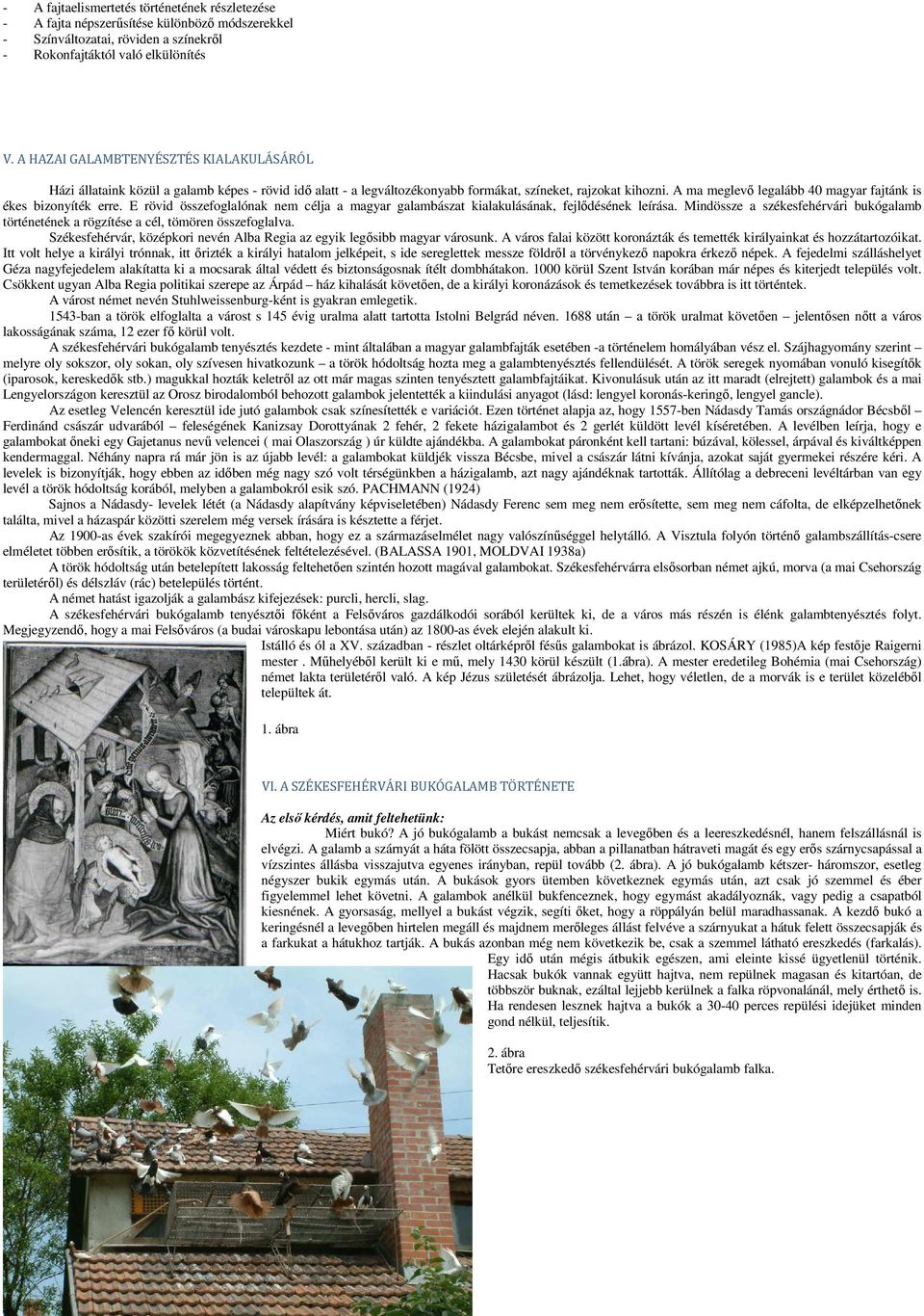 A ma meglevő legalább 40 magyar fajtánk is ékes bizonyíték erre. E rövid összefoglalónak nem célja a magyar galambászat kialakulásának, fejlődésének leírása.