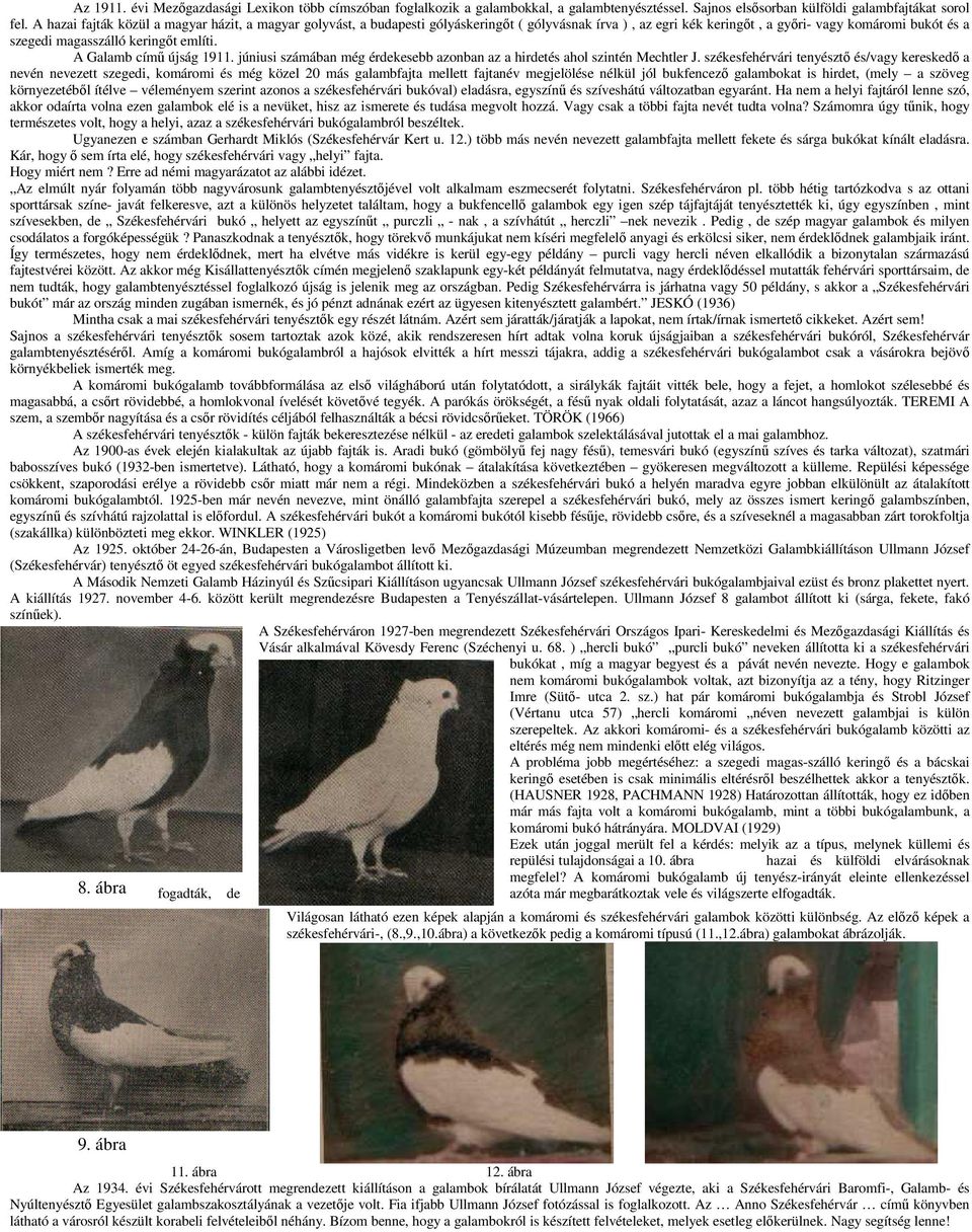A Galamb című újság 1911. júniusi számában még érdekesebb azonban az a hirdetés ahol szintén Mechtler J.