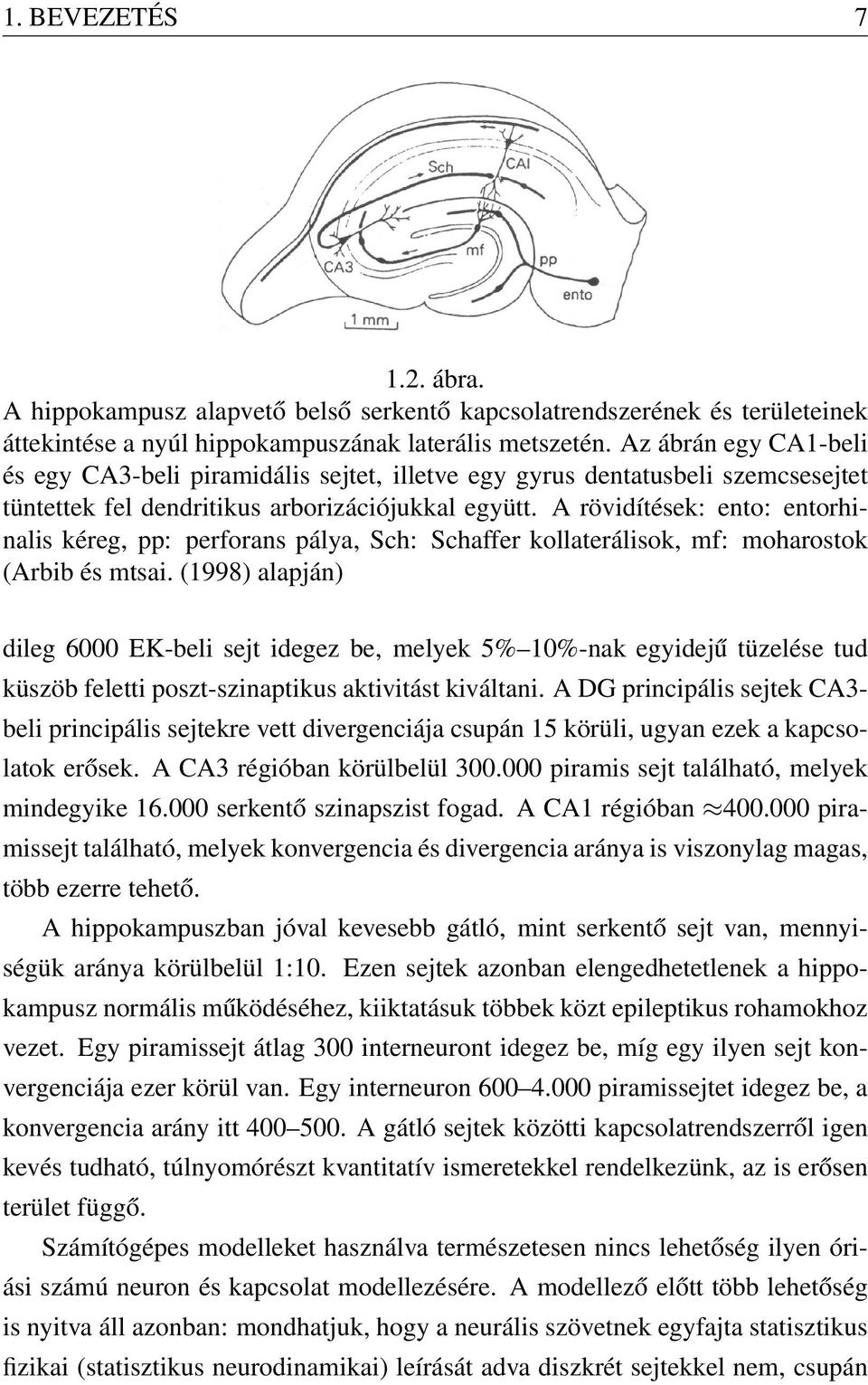 A rövidítések: ento: entorhinalis kéreg, pp: perforans pálya, Sch: Schaffer kollaterálisok, mf: moharostok (Arbib és mtsai.