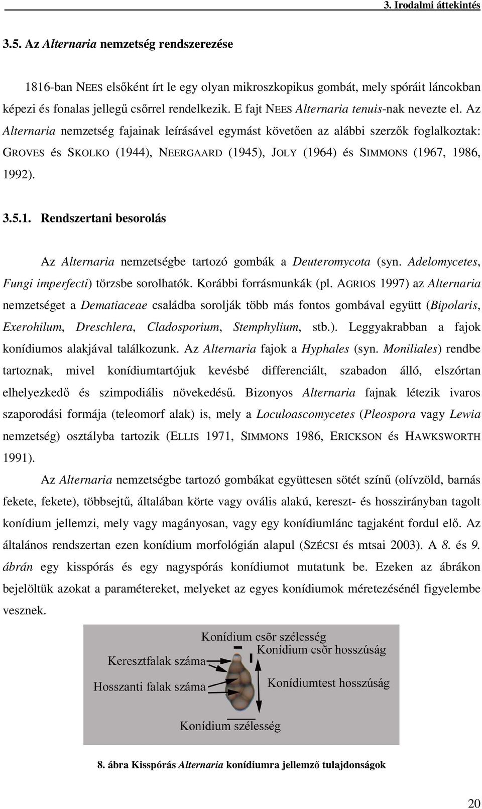 Az Alternaria nemzetség fajainak leírásável egymást követen az alábbi szerzk foglalkoztak: GROVES és SKOLKO (1944), NEERGAARD (1945), JOLY (1964) és SIMMONS (1967, 1986, 1992). 3.5.1. Rendszertani besorolás Az Alternaria nemzetségbe tartozó gombák a Deuteromycota (syn.