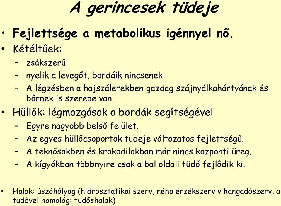 van. Hüllők: légmozgások a bordák segítségével Egyre nagyobb belső felület. Az egyes hüllőcsoportok tüdeje változatos fejlettségű.