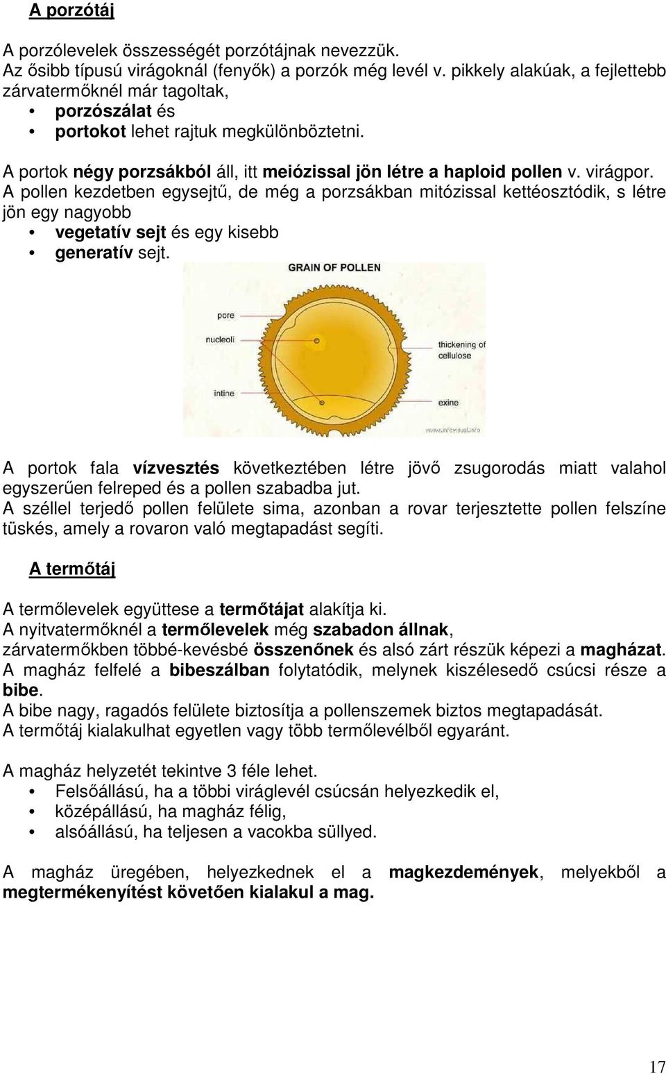 A pollen kezdetben egysejtő, de még a porzsákban mitózissal kettéosztódik, s létre jön egy nagyobb vegetatív sejt és egy kisebb generatív sejt.