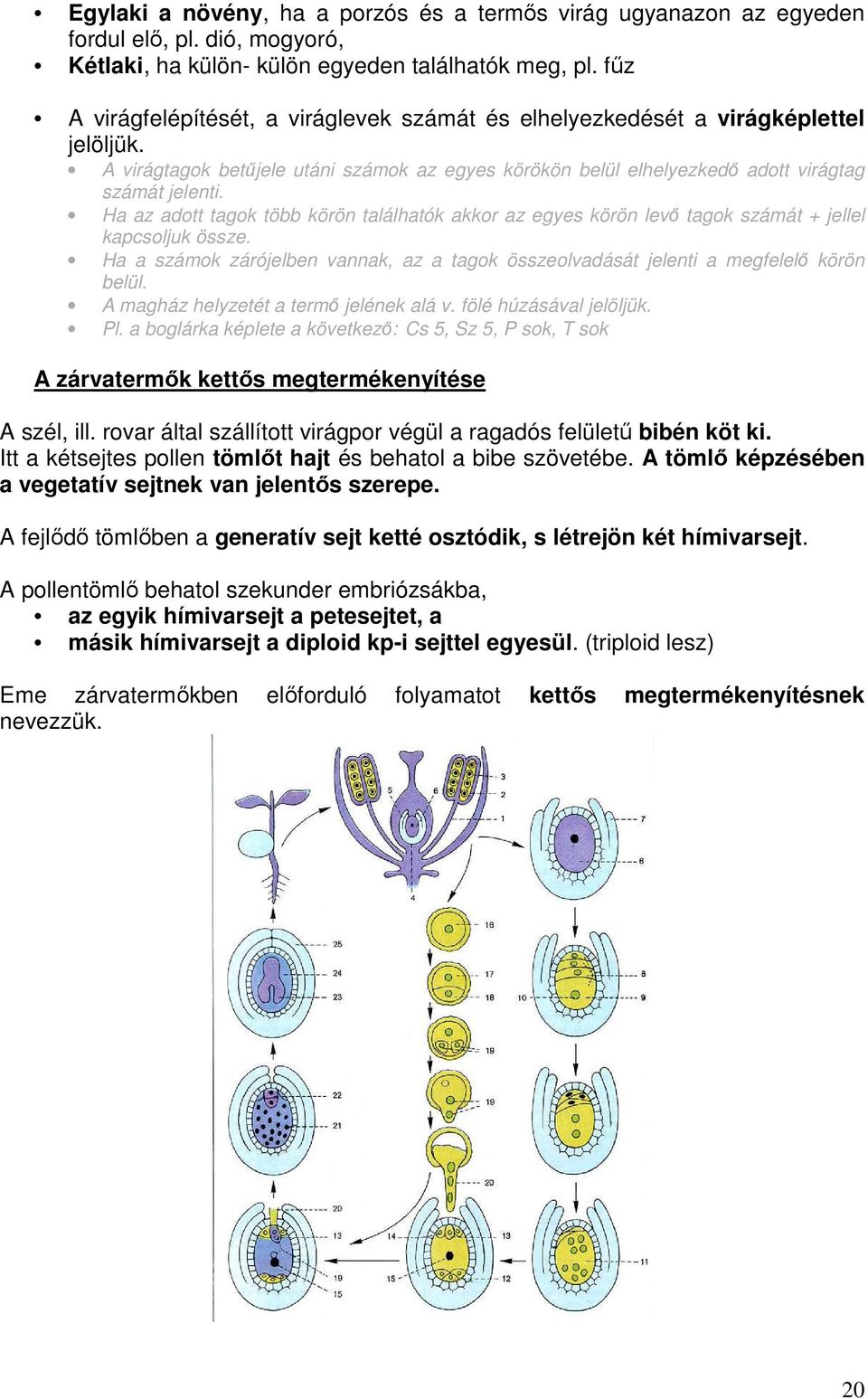 Ha az adott tagok több körön találhatók akkor az egyes körön levı tagok számát + jellel kapcsoljuk össze. Ha a számok zárójelben vannak, az a tagok összeolvadását jelenti a megfelelı körön belül.