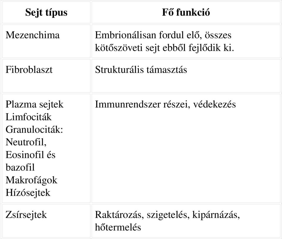 Fibroblaszt Strukturális támasztás Plazma sejtek Limfociták Granulociták: