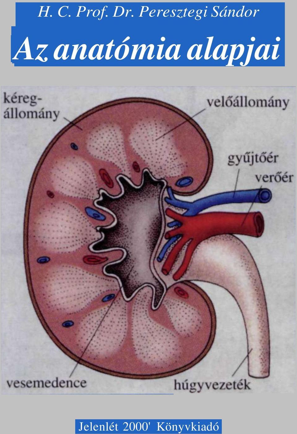 Az anatómia alapjai