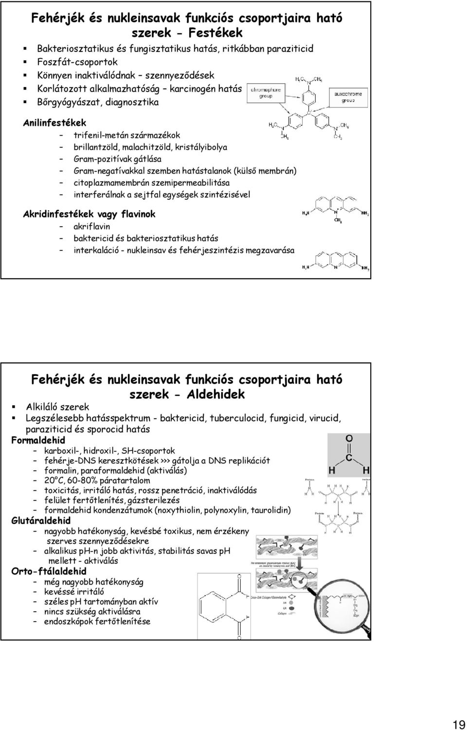 szemben hatástalanok (külső membrán) citoplazmamembrán szemipermeabilitása interferálnak a sejtfal egységek szintézisével Akridinfestékek vagy flavinok akriflavin baktericid és bakteriosztatikus